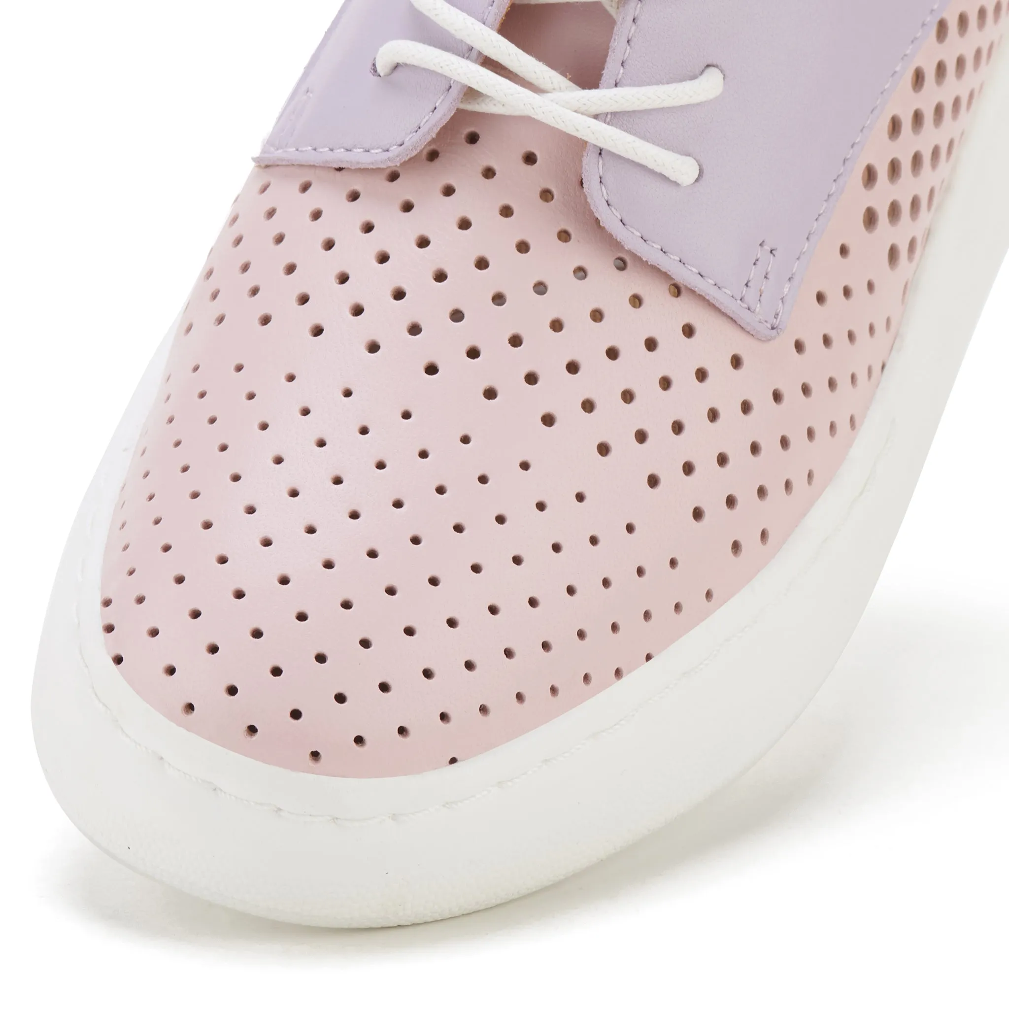 Derby City Punch Pink/Lavender