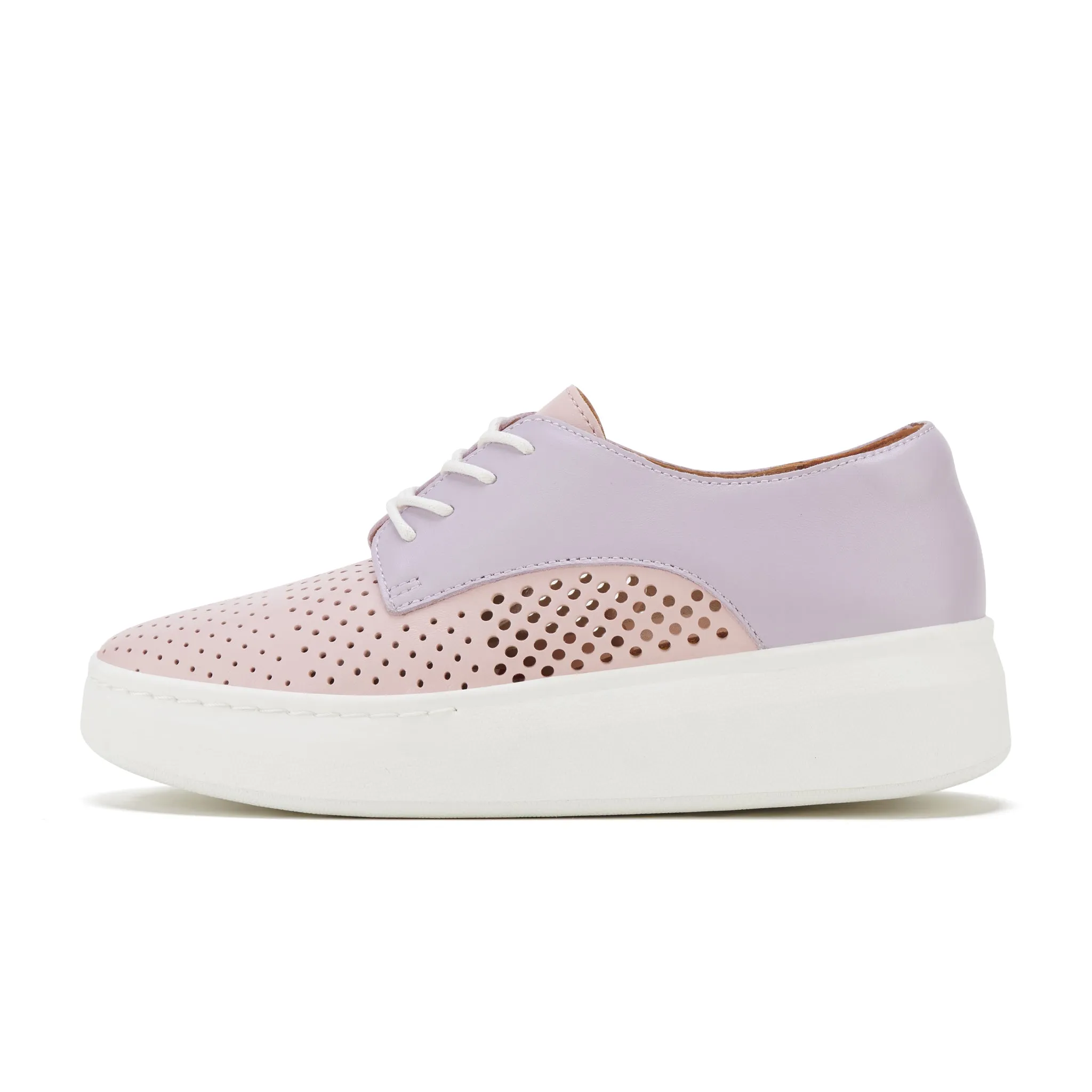 Derby City Punch Pink/Lavender