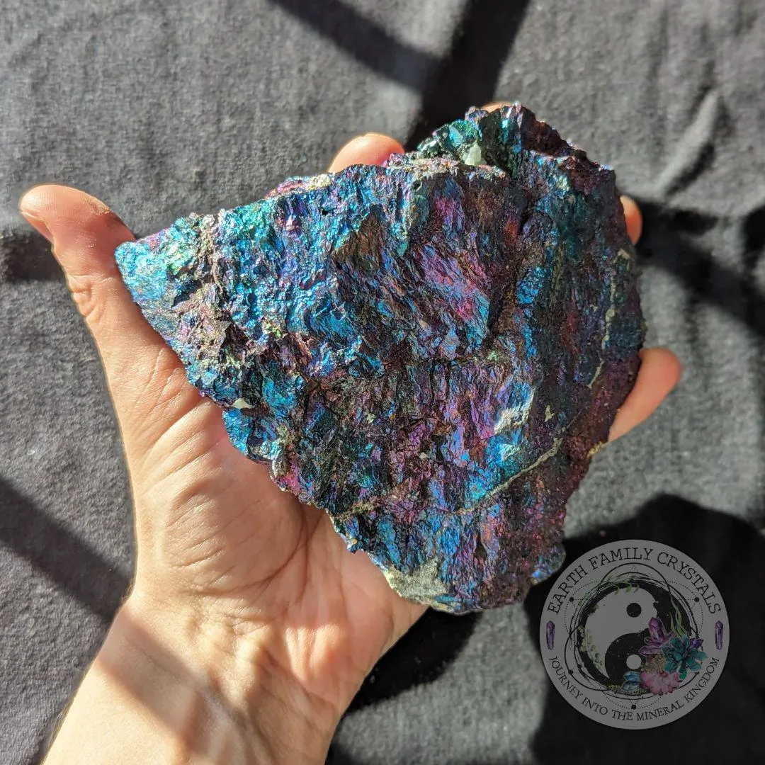 Jumbo Rainbow Chalcopyrite~ Stunning Vibrancy