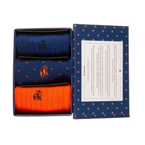 Swole Panda Gift Box - Orange & Blue