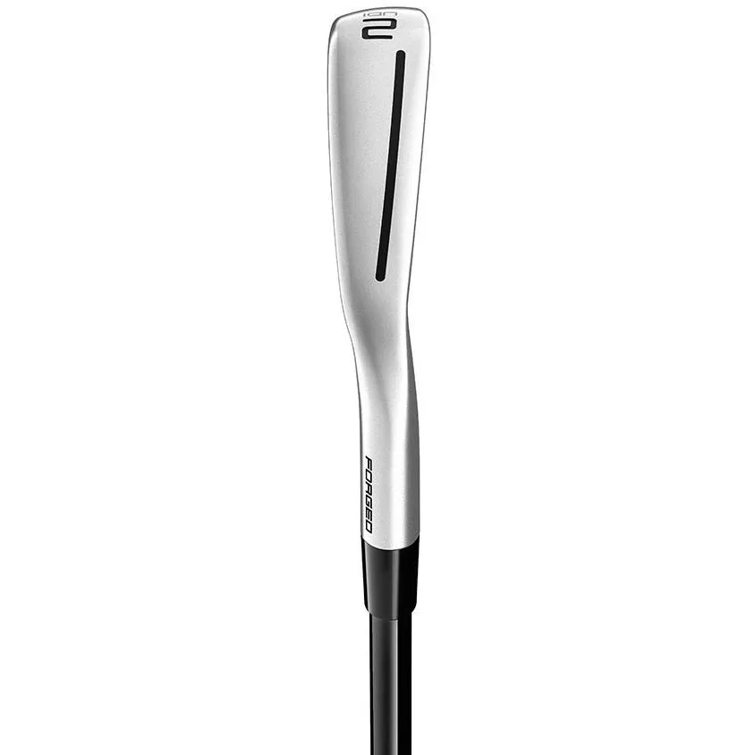 TaylorMade New Série de Fers P790 shaft graphite